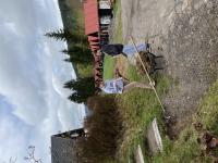 IMG_6801 (768x1024).jpg